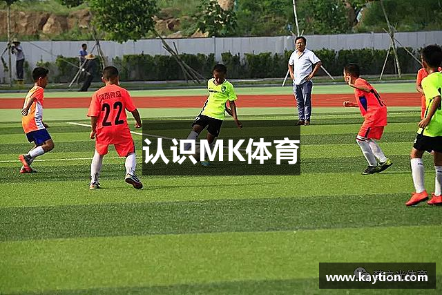 认识MK体育